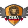 ceka-logo